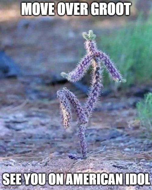 Dancing Cactus | MOVE OVER GROOT; SEE YOU ON AMERICAN IDOL | image tagged in dancing cactus | made w/ Imgflip meme maker