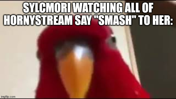 Red Birb Gumi Staring | SYLCMORI WATCHING ALL OF HORNYSTREAM SAY "SMASH" TO HER: | image tagged in red birb gumi staring | made w/ Imgflip meme maker