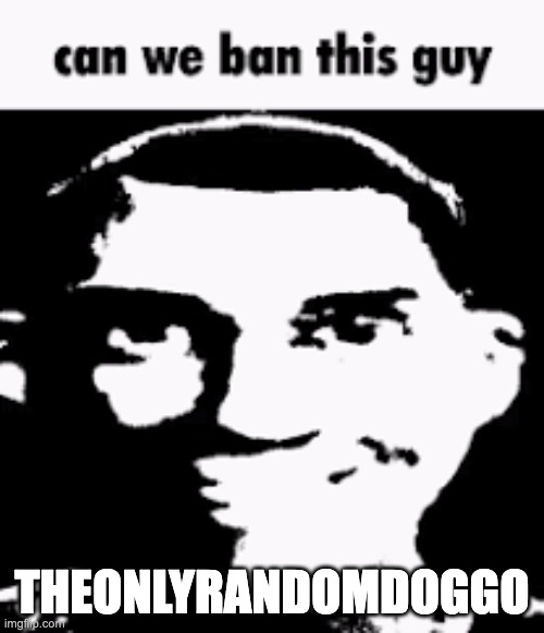 Can we ban this guy | THEONLYRANDOMDOGGO | image tagged in can we ban this guy | made w/ Imgflip meme maker
