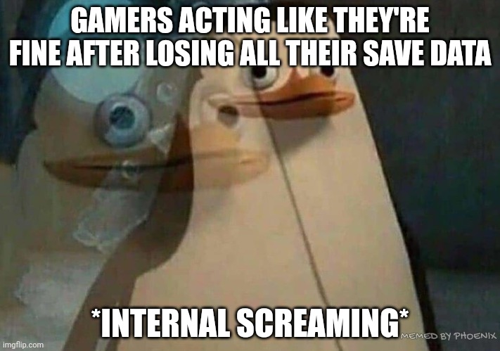 private penguin existential crisis | GAMERS ACTING LIKE THEY'RE FINE AFTER LOSING ALL THEIR SAVE DATA; *INTERNAL SCREAMING*; MEMED BY PHOENIX | image tagged in private penguin existential crisis | made w/ Imgflip meme maker