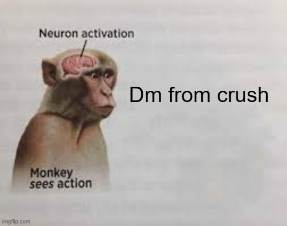 Neuron activation | Dm from crush | image tagged in neuron activation | made w/ Imgflip meme maker