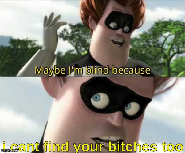 u r bitchless | i cant find your bitches too | image tagged in maybe i'm blind because,real,argument | made w/ Imgflip meme maker