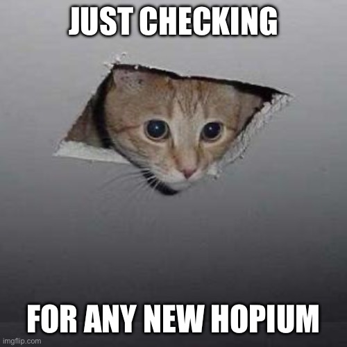 Ceiling Cat Meme | JUST CHECKING; FOR ANY NEW HOPIUM | image tagged in memes,ceiling cat,DarkAndDarker | made w/ Imgflip meme maker