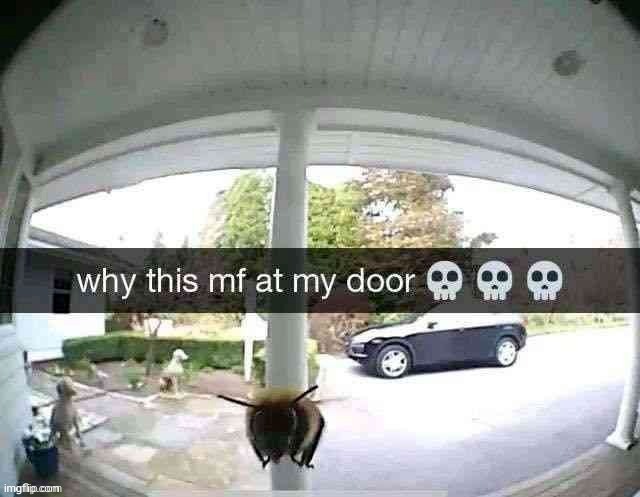 image tagged in memes,funny | made w/ Imgflip meme maker