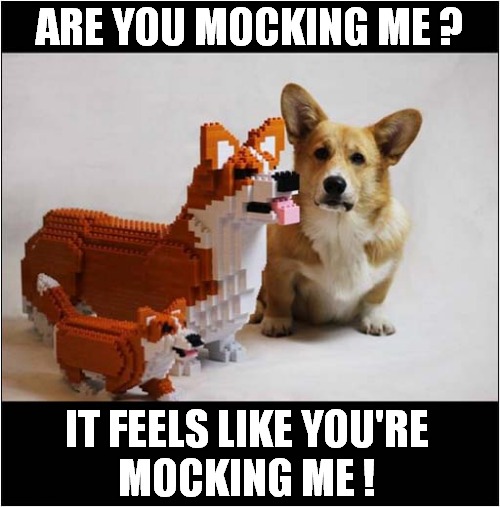 Unhappy Corgi ! | ARE YOU MOCKING ME ? IT FEELS LIKE YOU'RE
MOCKING ME ! | image tagged in dogs,corgi,mocked | made w/ Imgflip meme maker