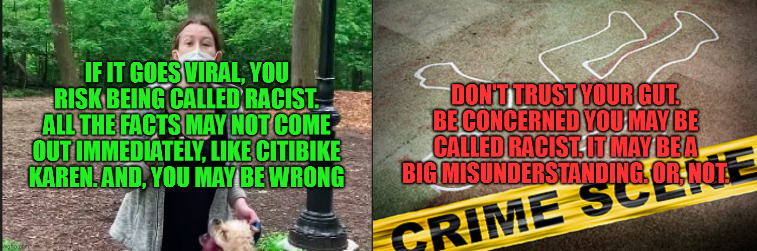 DON'T TRUST YOUR GUT. BE CONCERNED YOU MAY BE CALLED RACIST. IT MAY BE A BIG MISUNDERSTANDING. OR, NOT. IF IT GOES VIRAL, YOU RISK BEING CALLED RACIST. ALL THE FACTS MAY NOT COME OUT IMMEDIATELY, LIKE CITIBIKE KAREN. AND, YOU MAY BE WRONG | image tagged in amy cooper,murder crime scene | made w/ Imgflip meme maker