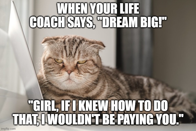 Dream big! | WHEN YOUR LIFE COACH SAYS, "DREAM BIG!"; "GIRL, IF I KNEW HOW TO DO THAT, I WOULDN'T BE PAYING YOU." | image tagged in angry cat computer side eye | made w/ Imgflip meme maker