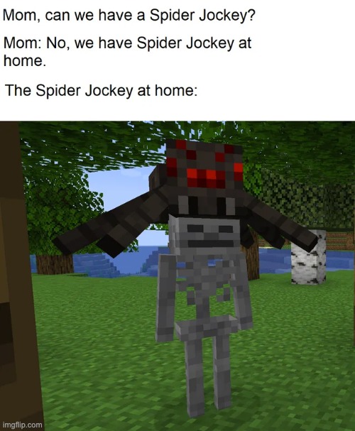image tagged in minecraft,memes,funny | made w/ Imgflip meme maker