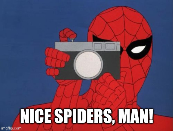 Spiderman Camera Meme | NICE SPIDERS, MAN! | image tagged in memes,spiderman camera,spiderman | made w/ Imgflip meme maker