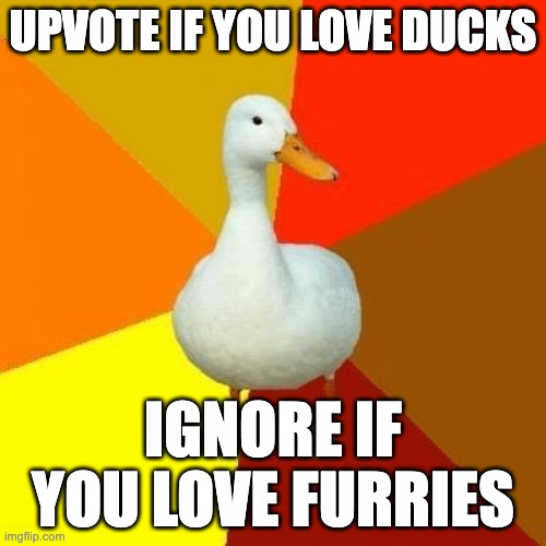 Tech Impaired Duck Meme | UPVOTE IF YOU LOVE DUCKS; IGNORE IF YOU LOVE FURRIES | image tagged in memes,tech impaired duck,begging for upvotes | made w/ Imgflip meme maker