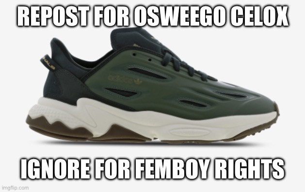 Adidas Osweego Celox | REPOST FOR OSWEEGO CELOX; IGNORE FOR FEMBOY RIGHTS | image tagged in adidas osweego celox | made w/ Imgflip meme maker