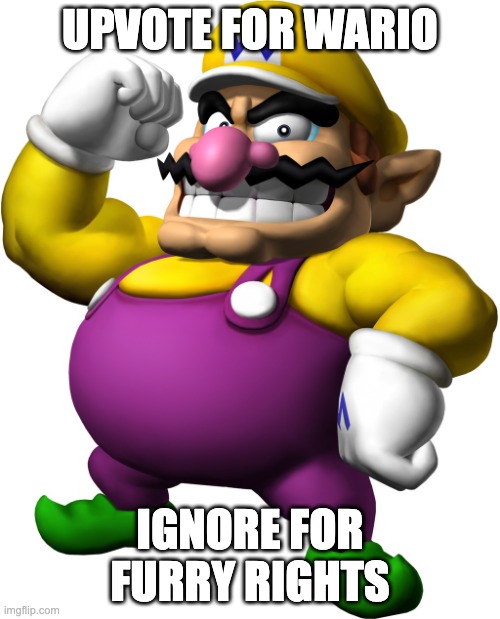 Wario | UPVOTE FOR WARIO; IGNORE FOR FURRY RIGHTS | image tagged in wario | made w/ Imgflip meme maker