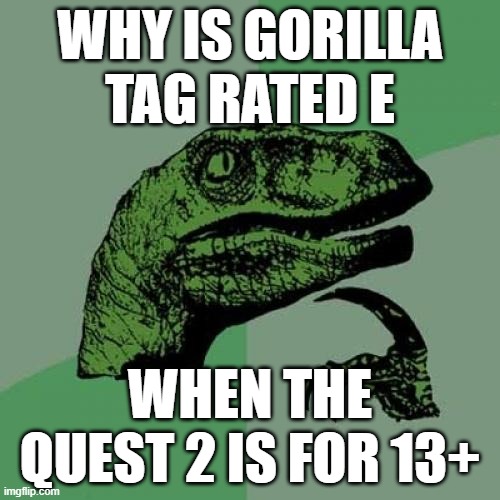why though? | WHY IS GORILLA TAG RATED E; WHEN THE QUEST 2 IS FOR 13+ | image tagged in memes,philosoraptor | made w/ Imgflip meme maker