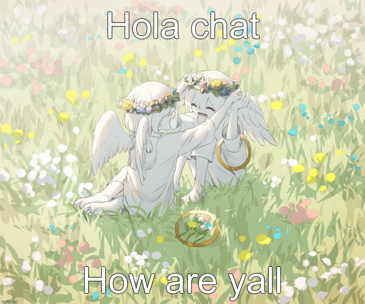 Avogado6 | Hola chat; How are yall | image tagged in avogado6 | made w/ Imgflip meme maker
