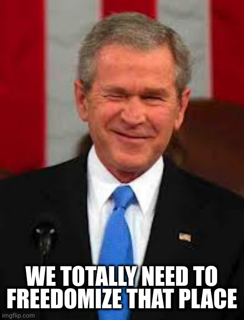 George Bush Meme | WE TOTALLY NEED TO FREEDOMIZE THAT PLACE | image tagged in memes,george bush | made w/ Imgflip meme maker