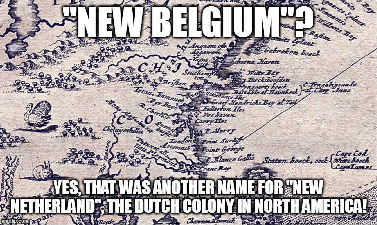 not in Africa | "NEW BELGIUM"? YES, THAT WAS ANOTHER NAME FOR "NEW NETHERLAND", THE DUTCH COLONY IN NORTH AMERICA! | image tagged in memes | made w/ Imgflip meme maker