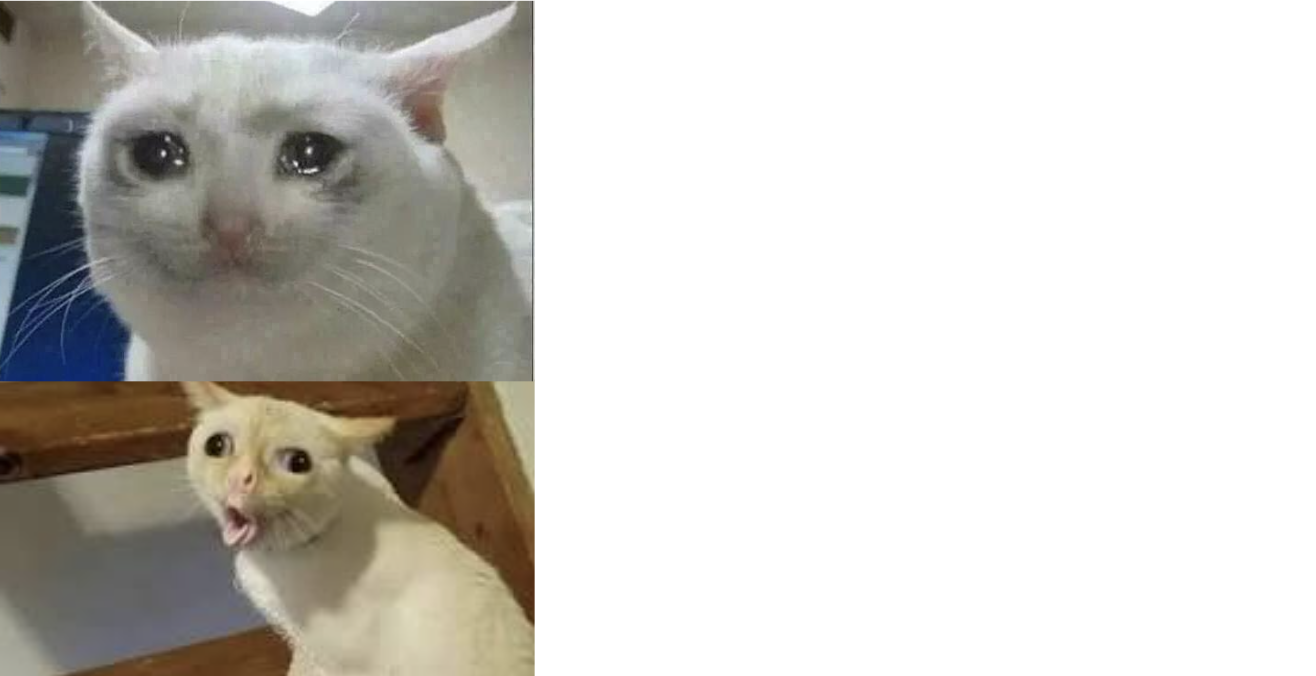 High Quality startled cat Blank Meme Template