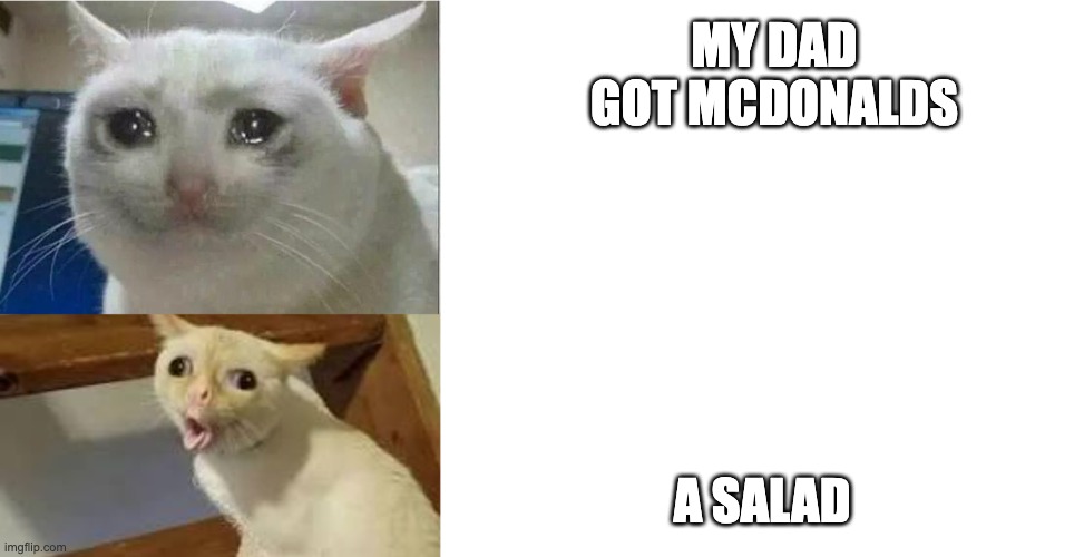 startled cat | MY DAD GOT MCDONALDS; A SALAD | image tagged in startled cat | made w/ Imgflip meme maker