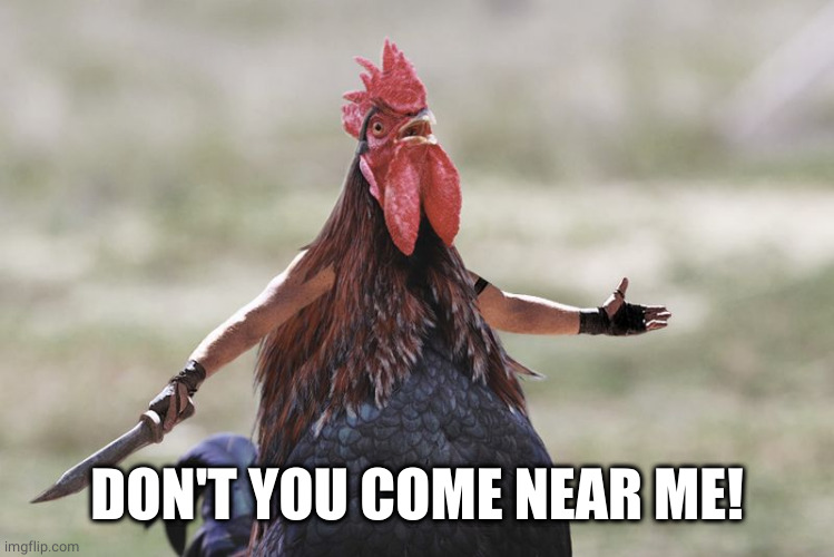 Gladiator Rooster | DON'T YOU COME NEAR ME! | image tagged in gladiator rooster | made w/ Imgflip meme maker