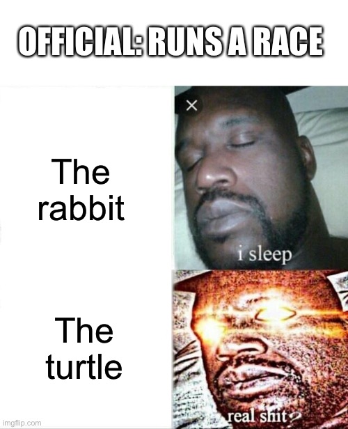 Turtle be going zroooooooommmmmm | OFFICIAL: RUNS A RACE; The rabbit; The turtle | image tagged in memes,sleeping shaq | made w/ Imgflip meme maker