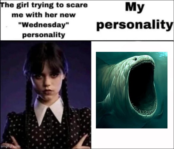 The girl trying to scare me with her new Wednesday personality | image tagged in the girl trying to scare me with her new wednesday personality,msmg | made w/ Imgflip meme maker