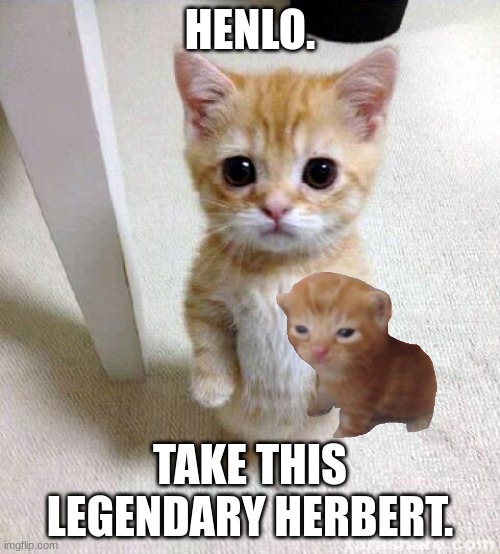 Cute Cat Meme | HENLO. TAKE THIS LEGENDARY HERBERT. | image tagged in memes,cute cat | made w/ Imgflip meme maker