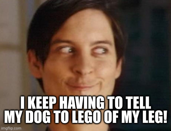 Spiderman Peter Parker Meme | I KEEP HAVING TO TELL MY DOG TO LEGO OF MY LEG! | image tagged in memes,spiderman peter parker | made w/ Imgflip meme maker