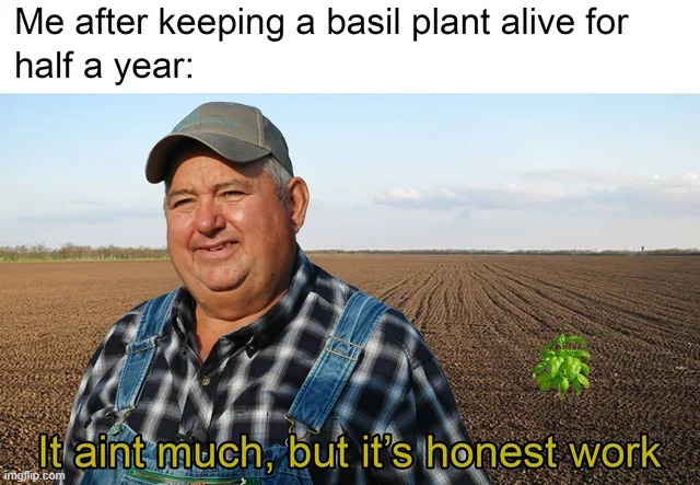 image tagged in memes | made w/ Imgflip meme maker
