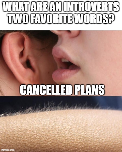 Music to my ears | WHAT ARE AN INTROVERTS TWO FAVORITE WORDS? CANCELLED PLANS | image tagged in whisper and goosebumps,favorite | made w/ Imgflip meme maker