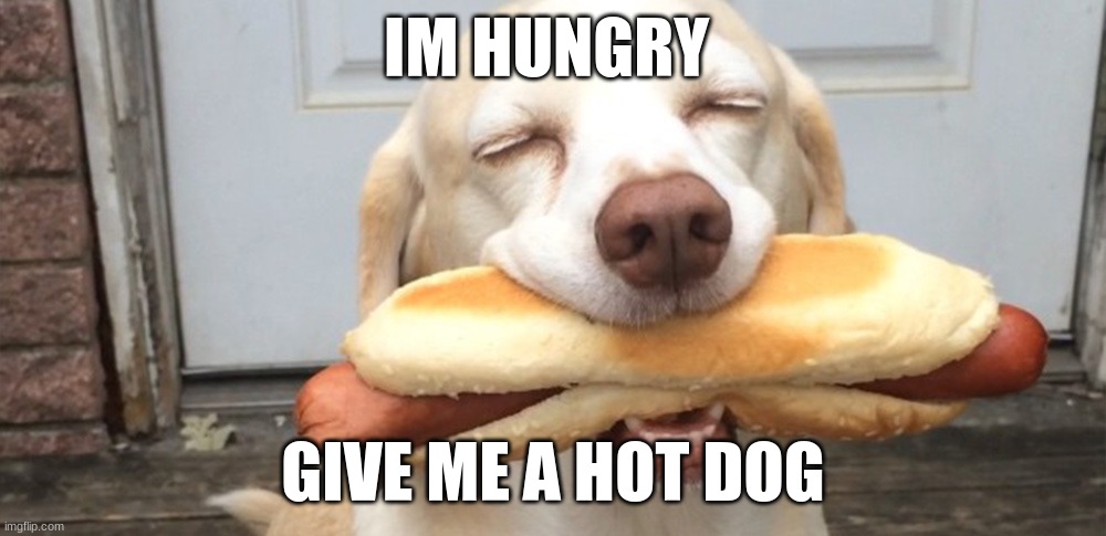 hungry now | IM HUNGRY; GIVE ME A HOT DOG | image tagged in funny | made w/ Imgflip meme maker