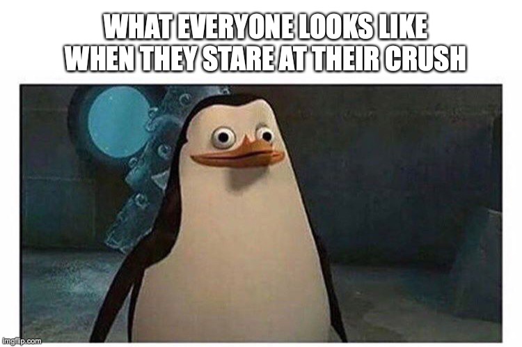 Kinda true though | WHAT EVERYONE LOOKS LIKE WHEN THEY STARE AT THEIR CRUSH | image tagged in stupid pinguin,crush,staring,funny,goofy | made w/ Imgflip meme maker