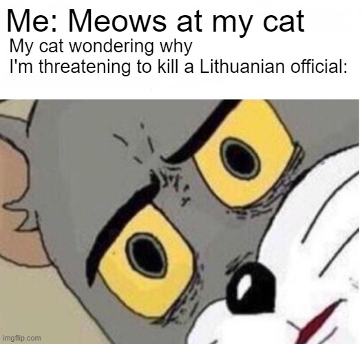 gsgr | Me: Meows at my cat; My cat wondering why
I'm threatening to kill a Lithuanian official: | image tagged in confused tom | made w/ Imgflip meme maker