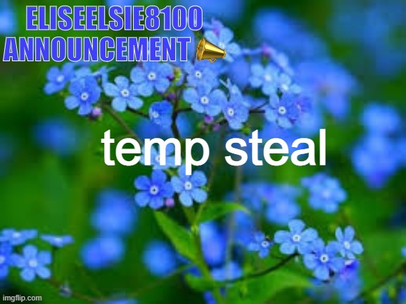 EliseElsie8100 Announcement | temp steal | image tagged in eliseelsie8100 announcement | made w/ Imgflip meme maker