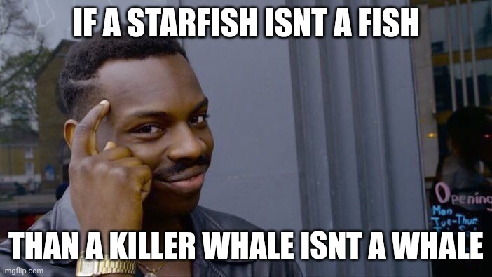 Roll Safe Think About It | IF A STARFISH ISNT A FISH; THAN A KILLER WHALE ISNT A WHALE | image tagged in memes,roll safe think about it | made w/ Imgflip meme maker