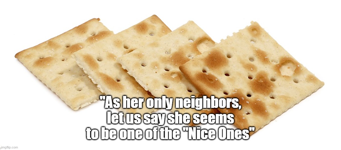"As her only neighbors, let us say she seems to be one of the "Nice Ones" | made w/ Imgflip meme maker