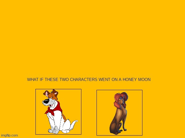 what if dodger and rita went on a honeymoon | image tagged in oliver and company,blank white template | made w/ Imgflip meme maker