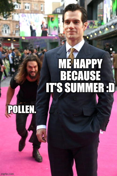 Jason Momoa Henry Cavill Meme | ME HAPPY BECAUSE IT'S SUMMER :D; POLLEN. | image tagged in jason momoa henry cavill meme | made w/ Imgflip meme maker
