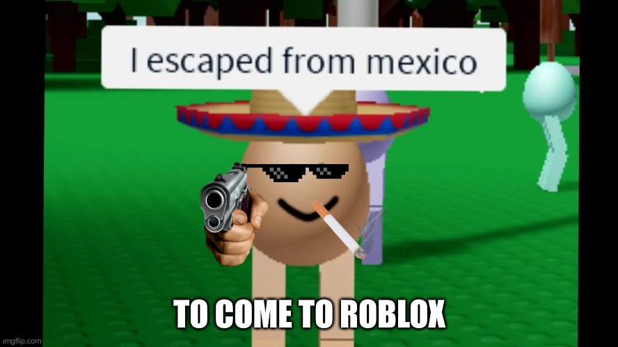 egg | TO COME TO ROBLOX | image tagged in egg | made w/ Imgflip meme maker