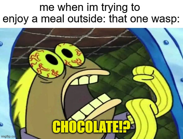 nah bruh but really | me when im trying to 
enjoy a meal outside: that one wasp:; CHOCOLATE!? | image tagged in spongebob chocolate,wasp | made w/ Imgflip meme maker