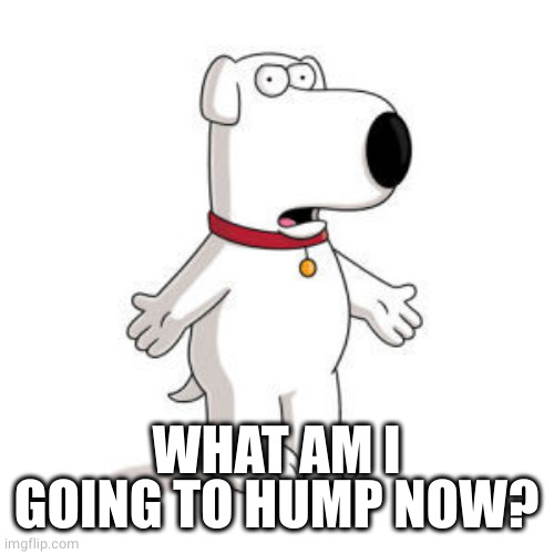 Family Guy Brian Meme | WHAT AM I GOING TO HUMP NOW? | image tagged in memes,family guy brian | made w/ Imgflip meme maker