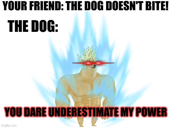 Memm | YOUR FRIEND: THE DOG DOESN'T BITE! THE DOG:; YOU DARE UNDERESTIMATE MY POWER | image tagged in memes | made w/ Imgflip meme maker