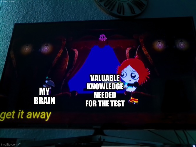 Why tho | MY BRAIN; VALUABLE KNOWLEDGE NEEDED FOR THE TEST | image tagged in scared crow | made w/ Imgflip meme maker