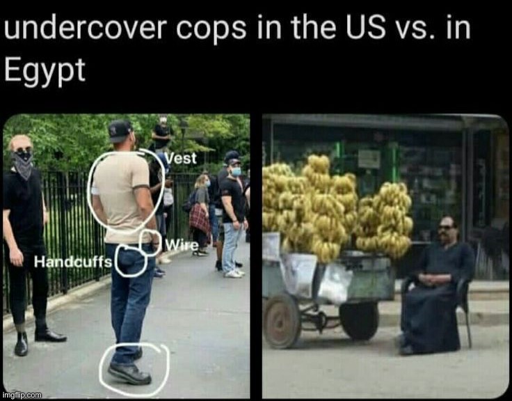 image tagged in memes | made w/ Imgflip meme maker