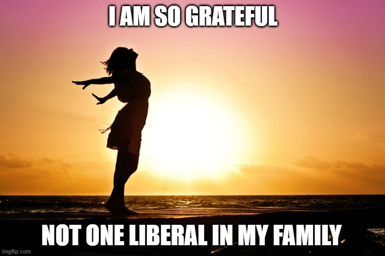 The truth will set you free | I AM SO GRATEFUL; NOT ONE LIBERAL IN MY FAMILY | image tagged in democrats,liberals,woke,leftists,joe biden,dimwits | made w/ Imgflip meme maker
