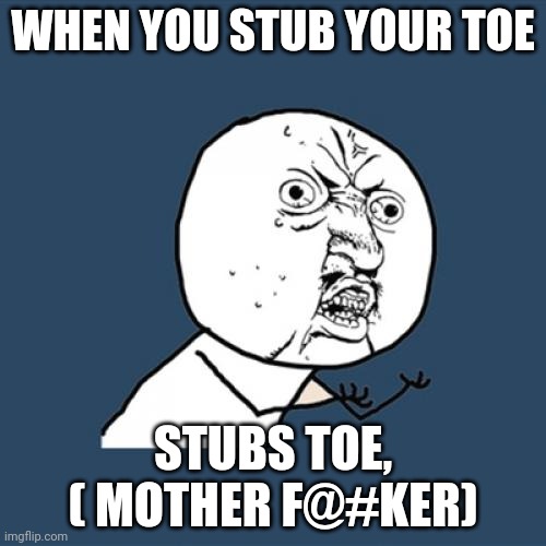 Something to relate to | WHEN YOU STUB YOUR TOE; STUBS TOE, ( MOTHER F@#KER) | image tagged in memes,y u no | made w/ Imgflip meme maker