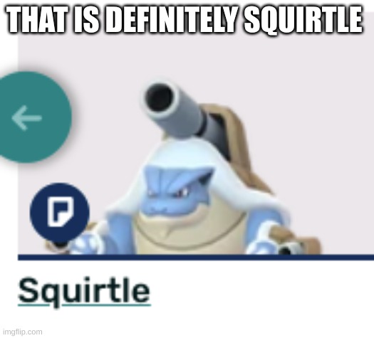 THAT IS DEFINITELY SQUIRTLE | made w/ Imgflip meme maker