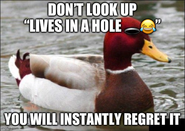 *googles it* | DON’T LOOK UP “LIVES IN A HOLE 🕳️😂”; YOU WILL INSTANTLY REGRET IT | image tagged in memes,malicious advice mallard,google,google search,duck,hole | made w/ Imgflip meme maker