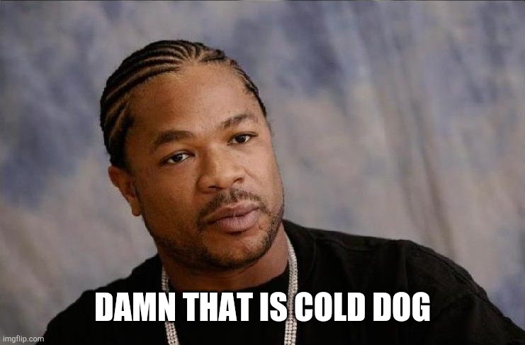 Xibit_surprised | DAMN THAT IS COLD DOG | image tagged in xibit_surprised | made w/ Imgflip meme maker