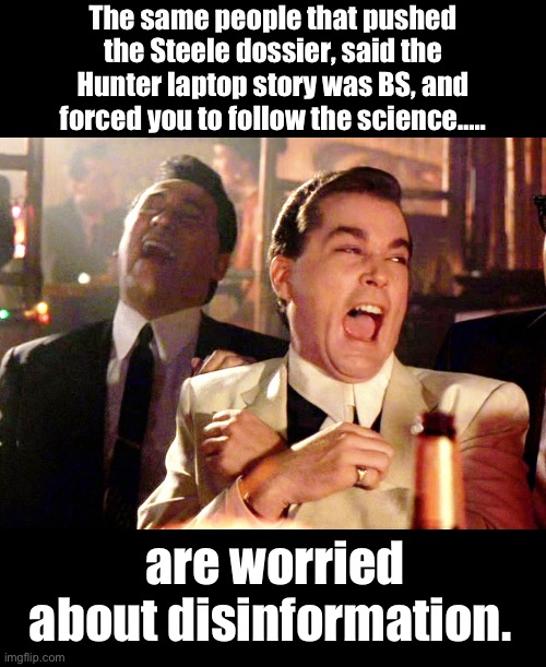 Propagandists hate free thinkers | The same people that pushed the Steele dossier, said the Hunter laptop story was BS, and forced you to follow the science….. are worried about disinformation. | image tagged in memes,good fellas hilarious,politics lol | made w/ Imgflip meme maker