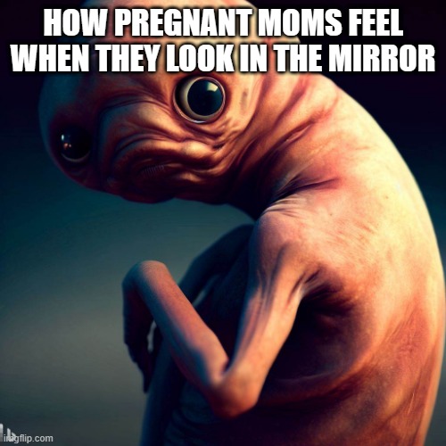 HOW PREGNANT MOMS FEEL WHEN THEY LOOK IN THE MIRROR | made w/ Imgflip meme maker